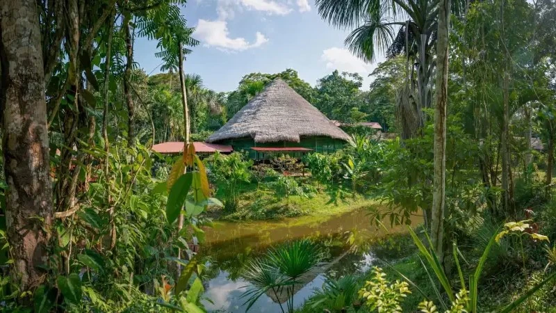 Natural Yurt in jungle with little lake